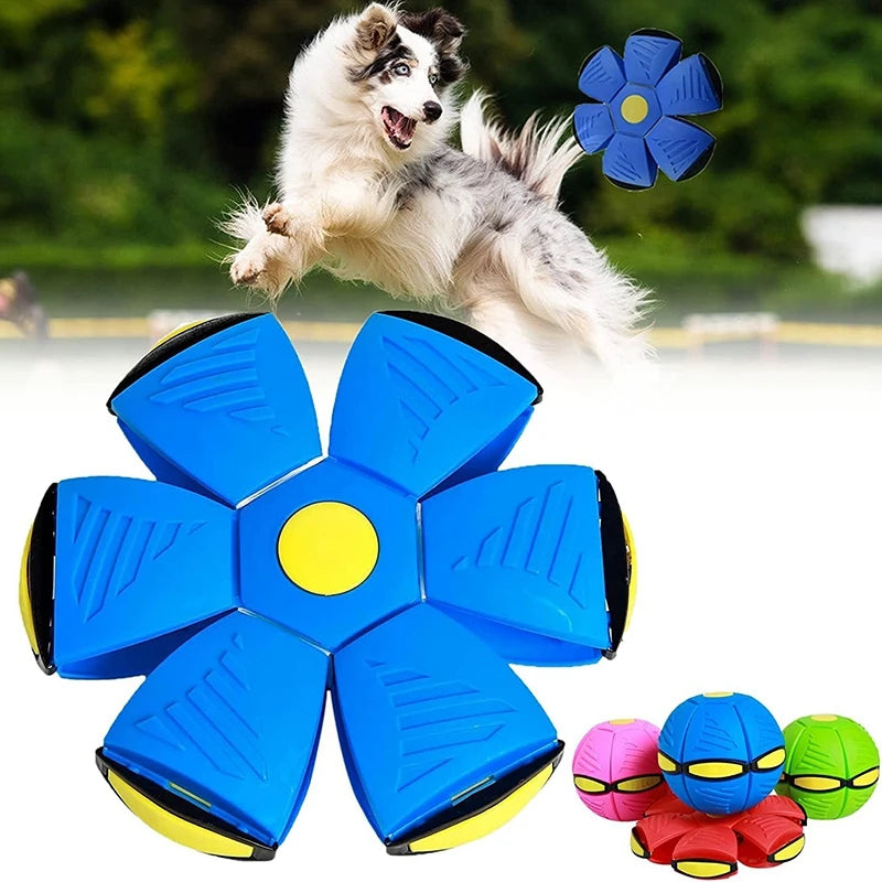 Dog Toys Magic Funny Pet Toy Flying Saucer Outdoor Dog Training