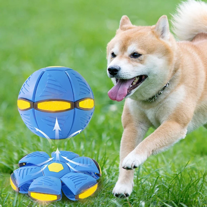 Dog Toys Magic Funny Pet Toy Flying Saucer Outdoor Dog Training