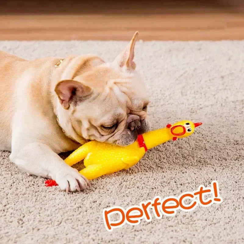 Funny Screaming Chicken Pet Dog Chew Toys Squeeze Sound Molar